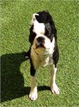 daycare pic 35 - Carton